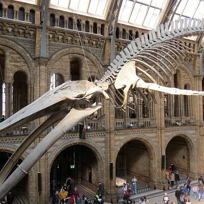 Natural History Museum