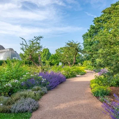 Kew Gardens